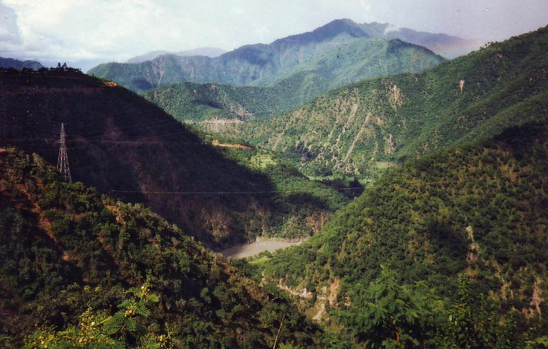 You have reached the last slide