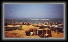 srilankanegomboboats * 792 x 459 * (99KB)
