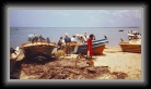 srilankanegomboboats2 * 857 x 462 * (98KB)