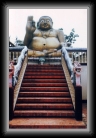 thailandchangraiboedha * 462 x 710 * (99KB)