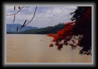 thailandmekong * 788 x 521 * (99KB)